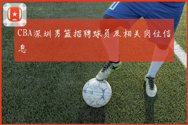CBA深圳男篮招聘球员及相关岗位信息
