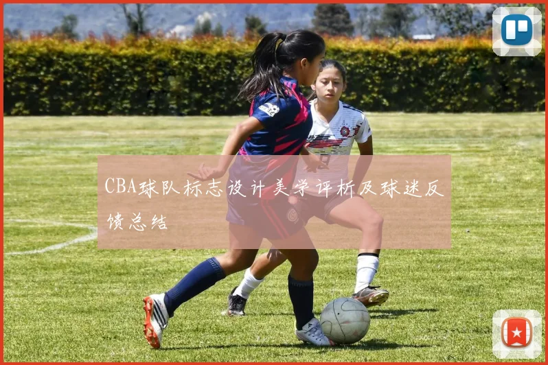 CBA球队标志设计美学评析及球迷反馈总结