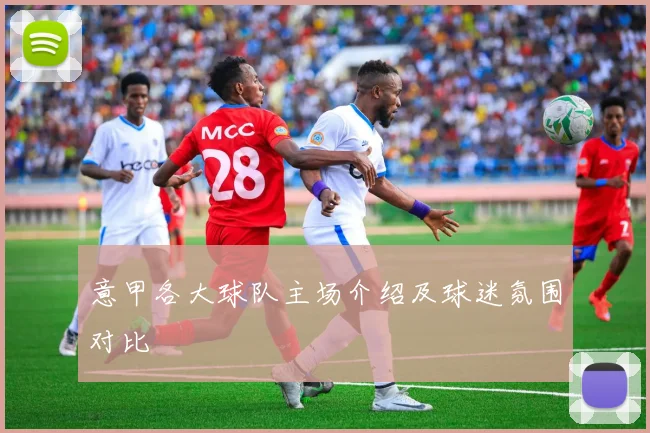意甲各大球队主场介绍及球迷氛围对比
