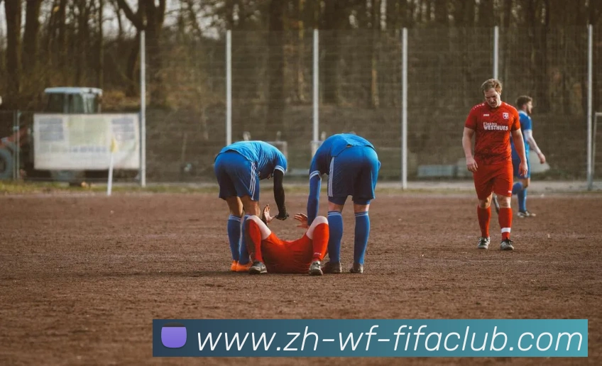 世界杯直播平台生态图