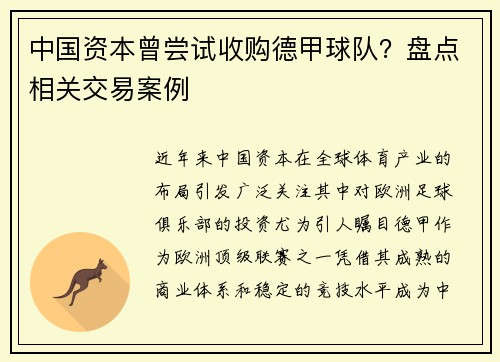 中国资本曾尝试收购德甲球队？盘点相关交易案例