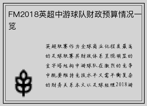 FM2018英超中游球队财政预算情况一览
